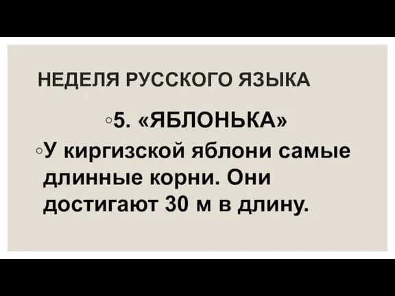 НЕДЕЛЯ РУССКОГО ЯЗЫКА 5. «ЯБЛОНЬКА» У киргизской яблони самые длинные корни. Они