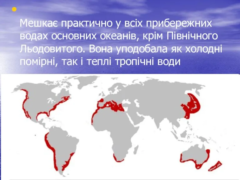 Мешкає практично у всіх прибережних водах основних океанів, крім Північного Льодовитого. Вона