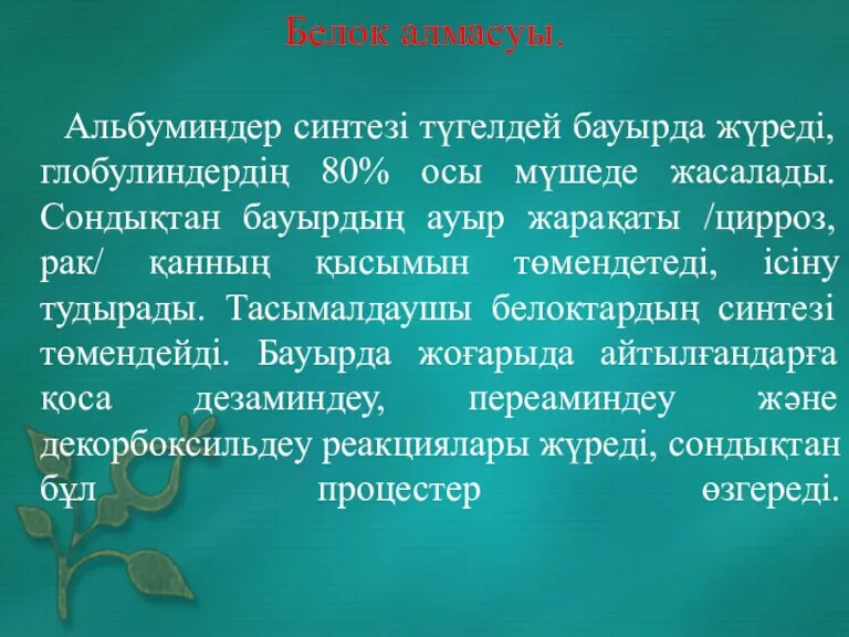 Белок алмасуы. Альбуминдер синтезі түгелдей бауырда жүреді, глобулиндердің 80% осы мүшеде жасалады.