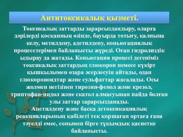 Антитоксикалық қызметі. Токсикалық заттарды зарарсыздандыру, оларға дәрілерді қосқанның өзінде, бауырда тотығу, қалпына