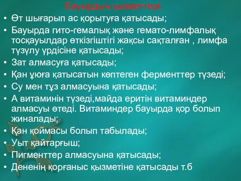 Бауырдың қызметтері: Өт шығарып ас қорытуға қатысады; Бауырда гито-гемалық және гемато-лимфалық тосқауылдар