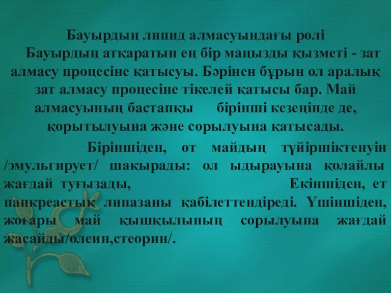 Бауырдың липид алмасуындағы рөлі Бауырдың атқаратын ең бір маңызды қызметі - зат