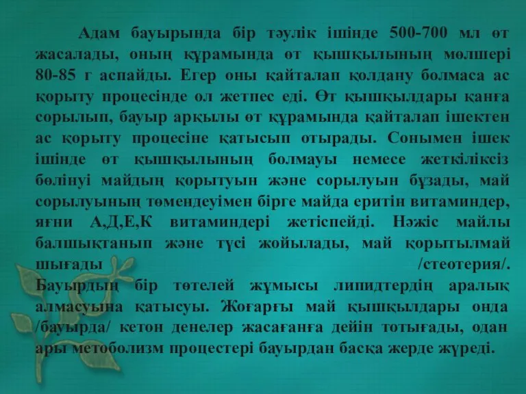 Адам бауырында бір тәулік ішінде 500-700 мл өт жасалады, оның құрамында өт