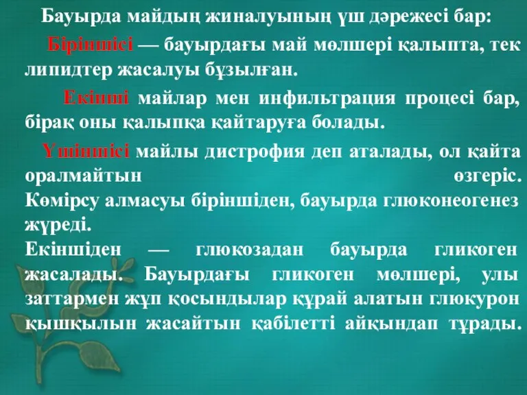 Бауырда майдың жиналуының үш дәрежесі бар: Біріншісі — бауырдағы май мөлшері қалыпта,