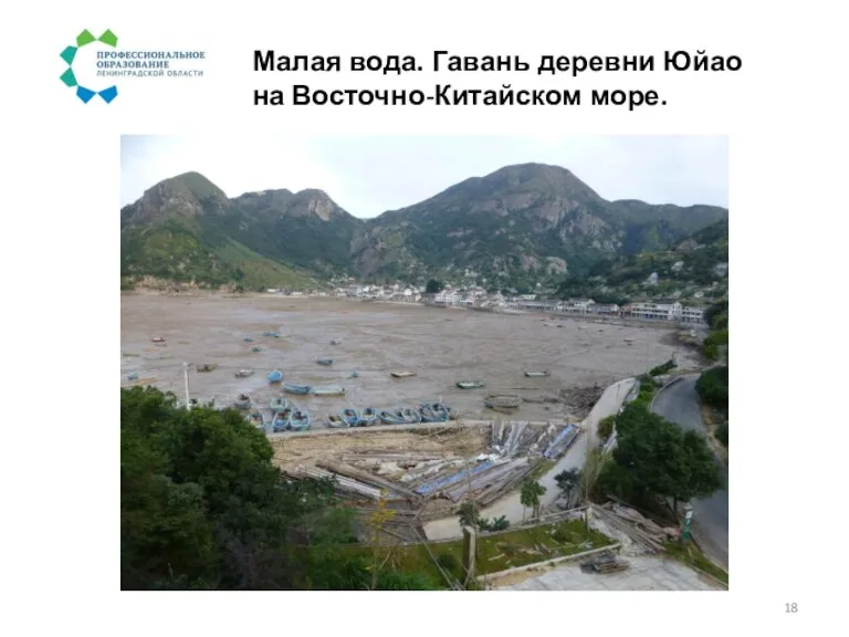 Малая вода. Гавань деревни Юйао на Восточно-Китайском море.