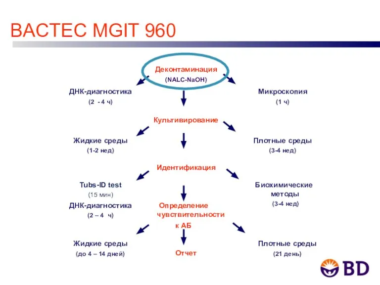 BACTEC MGIT 960 Деконтаминация (NALC-NaOH) ДНК-диагностика (2 - 4 ч) Микроскопия (1