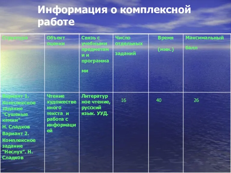 Информация о комплексной работе