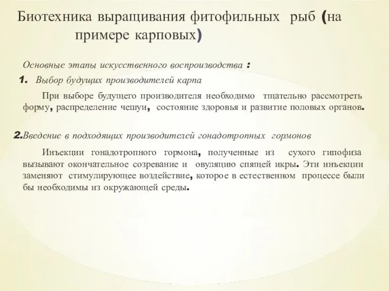 Биотехника выращивания фитофильных рыб (на примере карповых) Основные этапы искусственного воспроизводства :