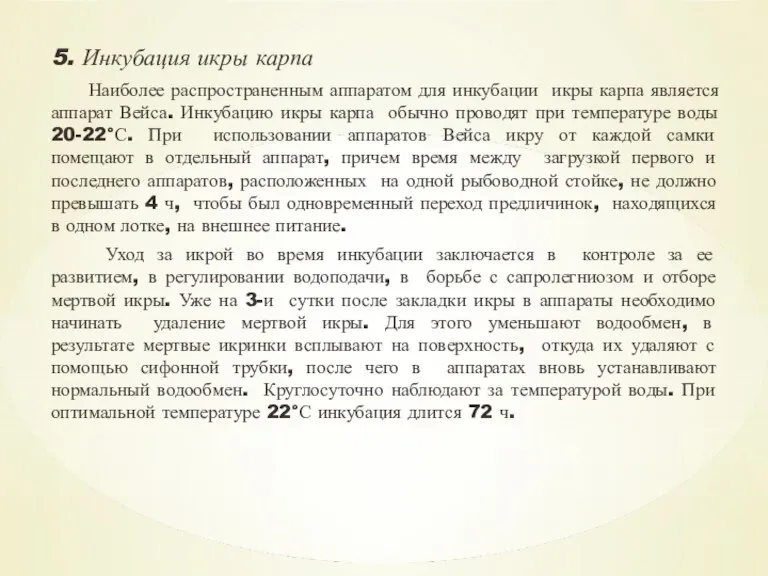 5. Инкубация икры карпа Наиболее распространенным аппаратом для инкубации икры карпа является