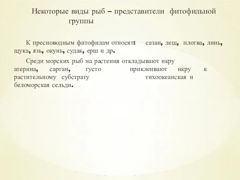 Некоторые виды рыб – представители фитофильной группы К пресноводным фитофилам относят: сазан,