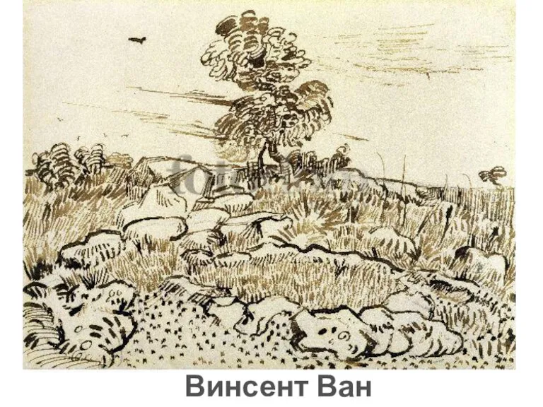 Винсент Ван Гог