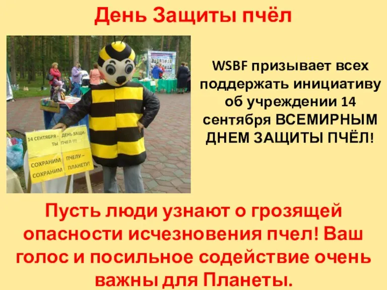 День Защиты пчёл WSBF призывает всех поддержать инициативу об учреждении 14 сентября