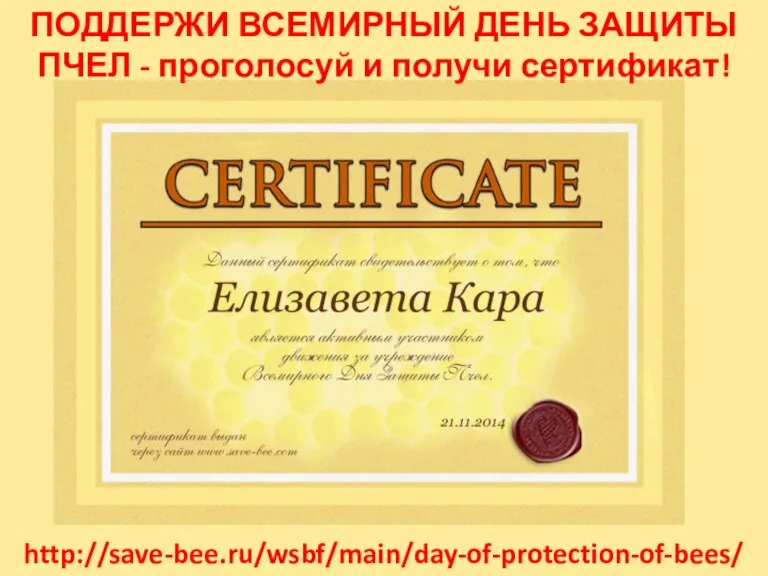 ПОДДЕРЖИ ВСЕМИРНЫЙ ДЕНЬ ЗАЩИТЫ ПЧЕЛ - проголосуй и получи сертификат! http://save-bee.ru/wsbf/main/day-of-protection-of-bees/