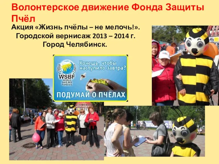 Акция «Жизнь пчёлы – не мелочь!». Городской вернисаж 2013 – 2014 г.