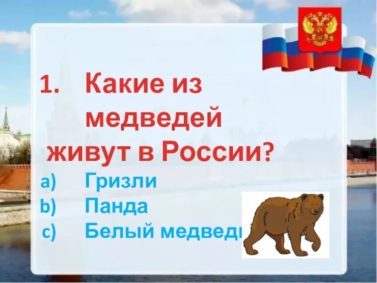 Какие из медведей живут в России? Гризли Панда Белый медведь