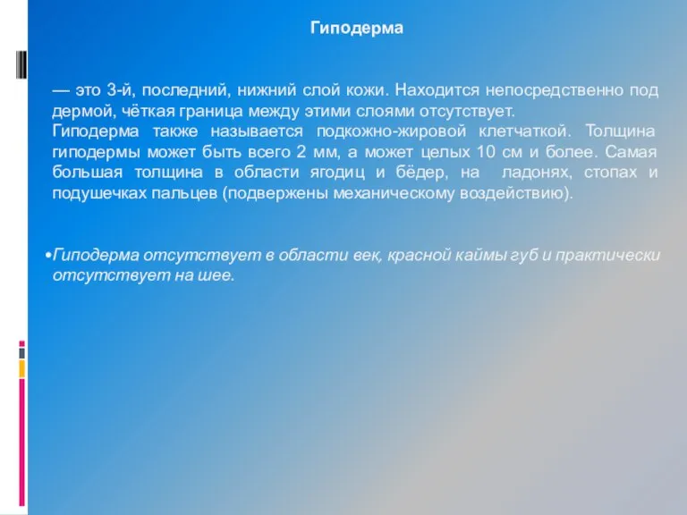 Гиподерма — это 3-й, последний, нижний слой кожи. Находится непосредственно под дермой,