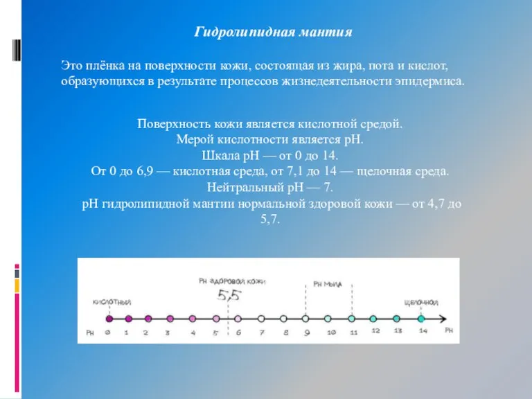 Гидролипидная мантия Это плёнка на поверхности кожи, состоящая из жира, пота и