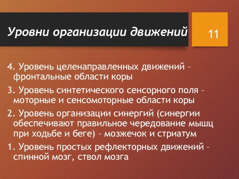 Уровни организации движений 4. Уровень целенаправленных движений – фронтальные области коры 3.