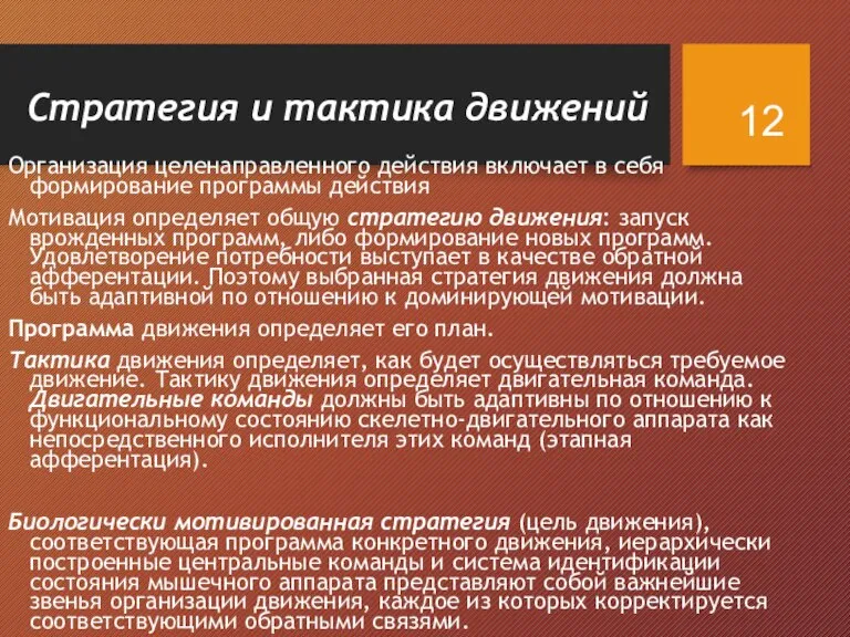 Стратегия и тактика движений Организация целенаправленного действия включает в себя формирование программы