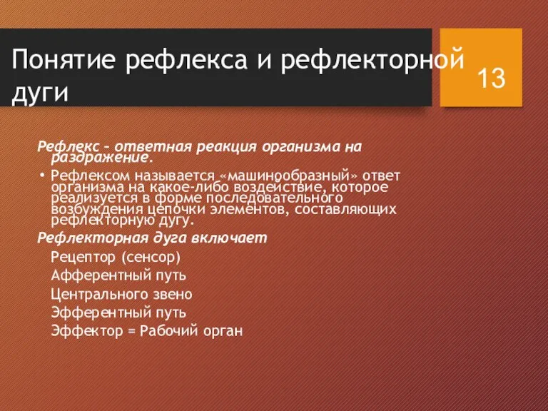 Понятие рефлекса и рефлекторной дуги Рефлекс – ответная реакция организма на раздражение.