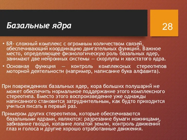 Базальные ядра БЯ- сложный комплекс с огромным количеством связей, обеспечивающий координацию двигательных