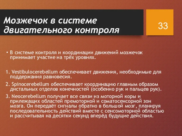 Мозжечок в системе двигательного контроля В системе контроля и координации движений мозжечок