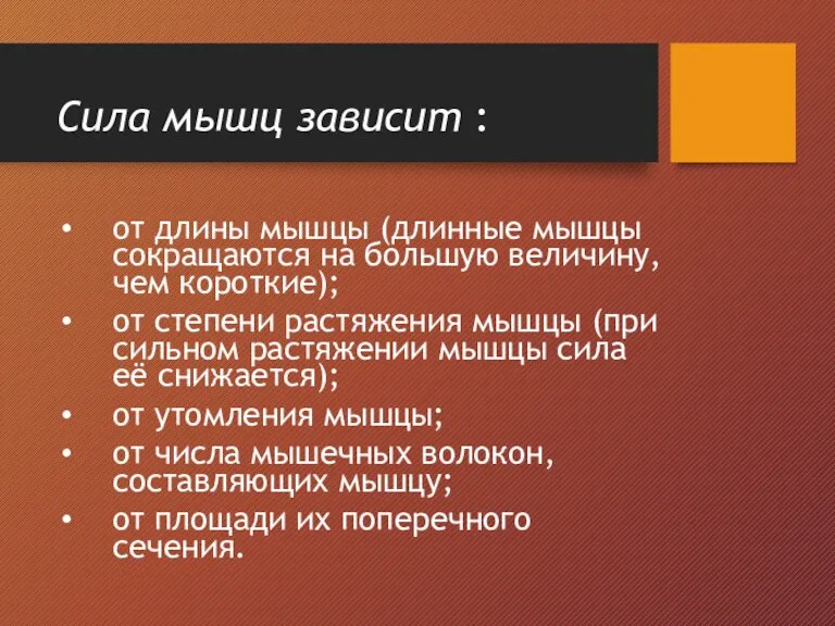 Сила мышц зависит : от длины мышцы (длинные мышцы сокращаются на большую