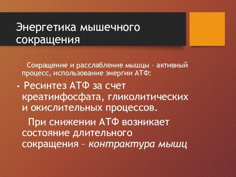 Энергетика мышечного сокращения Сокращение и расслабление мышцы – активный процесс, использование энергии