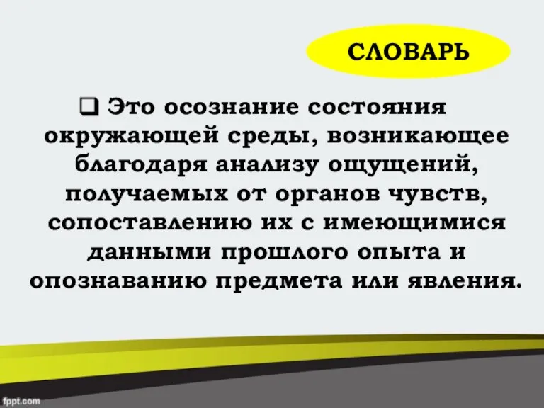 Это осознание состояния окружающей среды, возникающее благодаря анализу ощущений, получаемых от органов