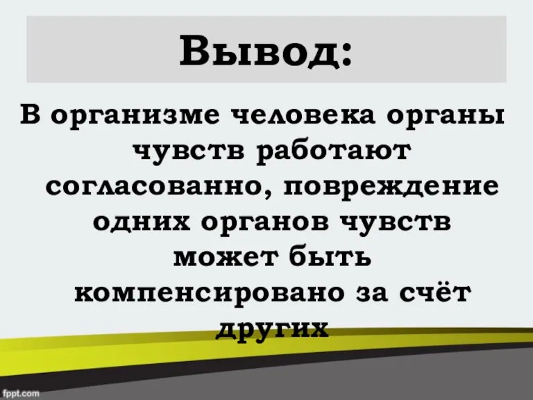 Вывод: В организме человека органы чувств работают согласованно, повреждение одних органов чувств