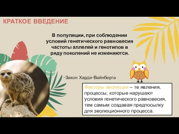 В популяции, при соблюдении условий генетического равновесия частоты аллелей и генотипов в