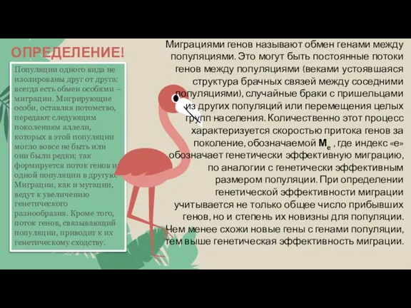 ОПРЕДЕЛЕНИЕ! Популяции одного вида не изолированы друг от друга: всегда есть обмен