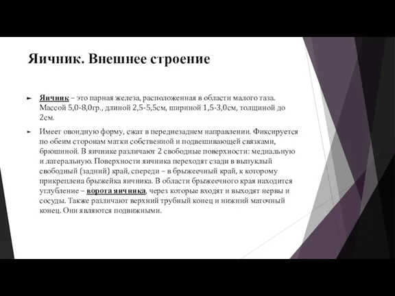 Яичник. Внешнее строение Яичник – это парная железа, расположенная в области малого