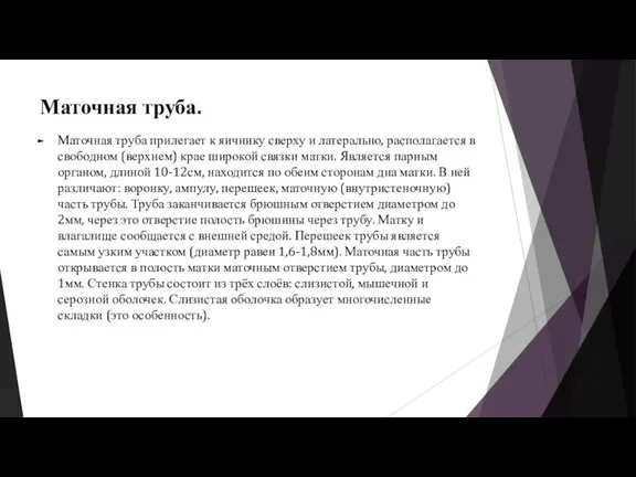 Маточная труба. Маточная труба прилегает к яичнику сверху и латерально, располагается в