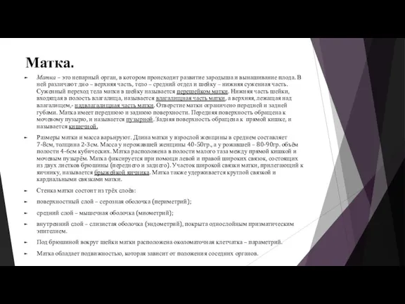 Матка. Матка – это непарный орган, в котором происходит развитие зародыша и