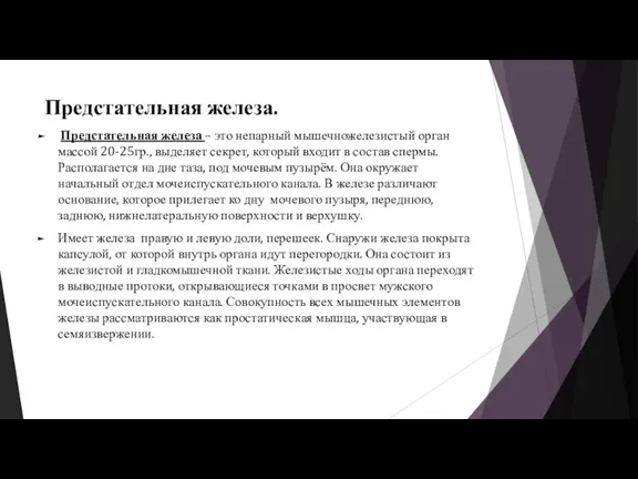 Предстательная железа. Предстательная железа – это непарный мышечножелезистый орган массой 20-25гр., выделяет