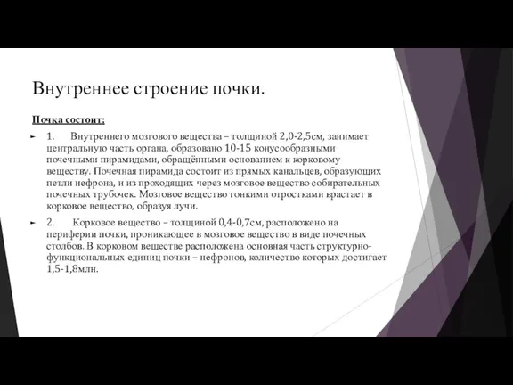 Внутреннее строение почки. Почка состоит: 1. Внутреннего мозгового вещества – толщиной 2,0-2,5см,