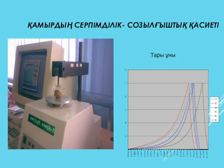 ҚАМЫРДЫҢ СЕРПІМДІЛІК- СОЗЫЛҒЫШТЫҚ ҚАСИЕТІ Тары ұны