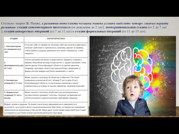 Согласно теории Ж. Пиаже, в развитии интеллекта человека можно условно выделить четыре