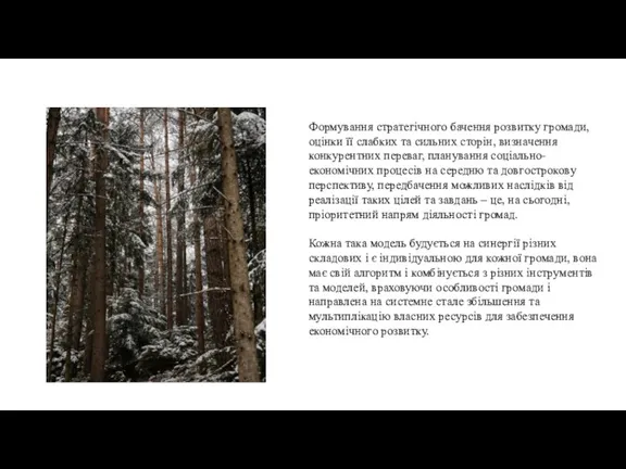 Формування стратегічного бачення розвитку громади, оцінки її слабких та сильних сторін, визначення