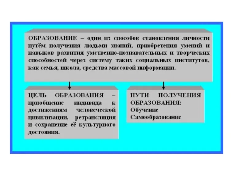 Образование