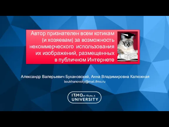 Александр Валерьевич Бухановский, Анна Владимировна Калюжная boukhanovsky@mail.ifmo.ru Автор признателен всем котикам (и