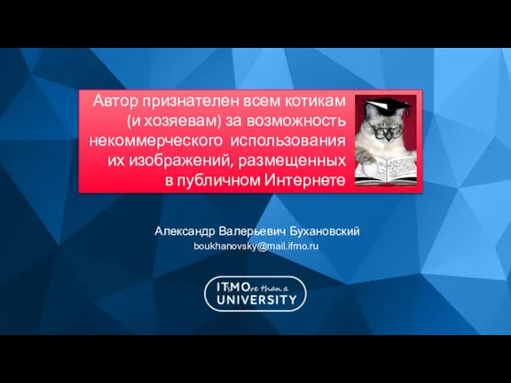 Александр Валерьевич Бухановский boukhanovsky@mail.ifmo.ru Автор признателен всем котикам (и хозяевам) за возможность