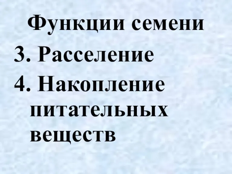 Функции семени 3. Расселение 4. Накопление питательных веществ