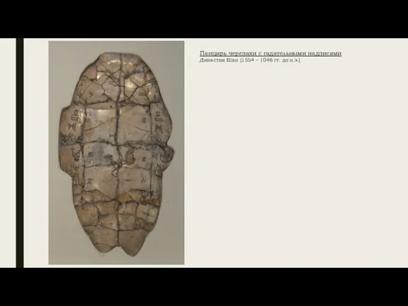 Панцирь черепахи с гадательными надписями Династия Шан (1554 – 1046 гг. до н.э.)