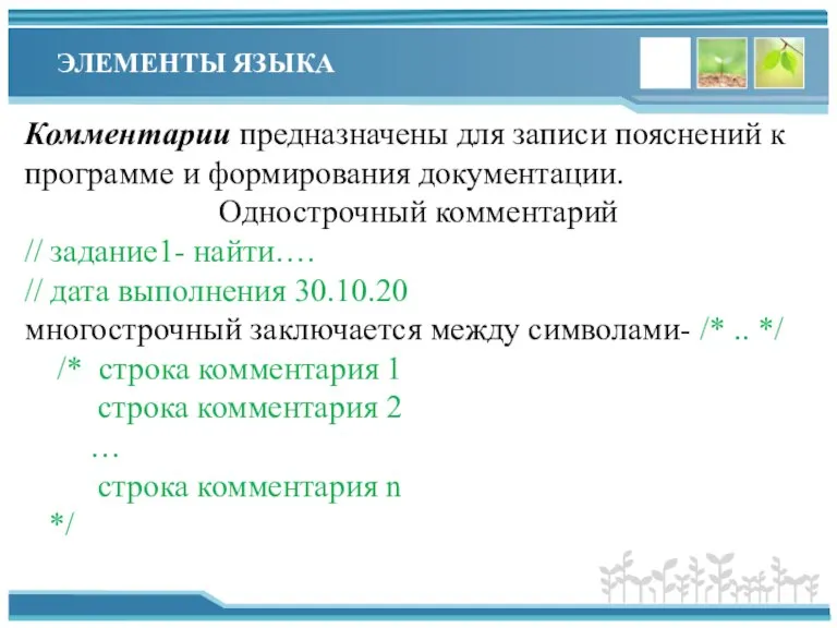 ЭЛЕМЕНТЫ ЯЗЫКА Комментарии предназначены для записи пояснений к программе и формирования документации.