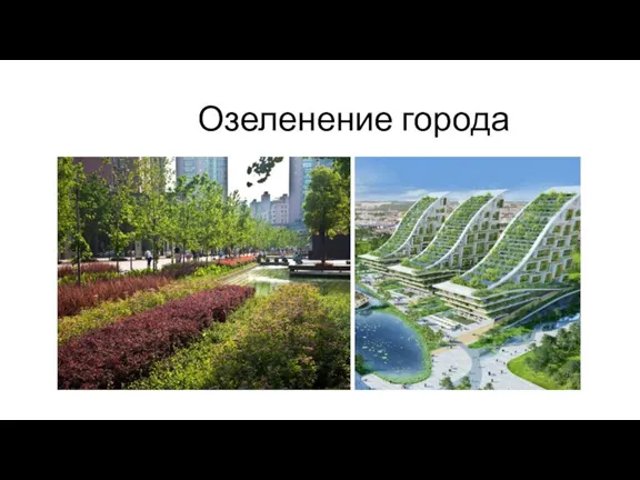 Озеленение города