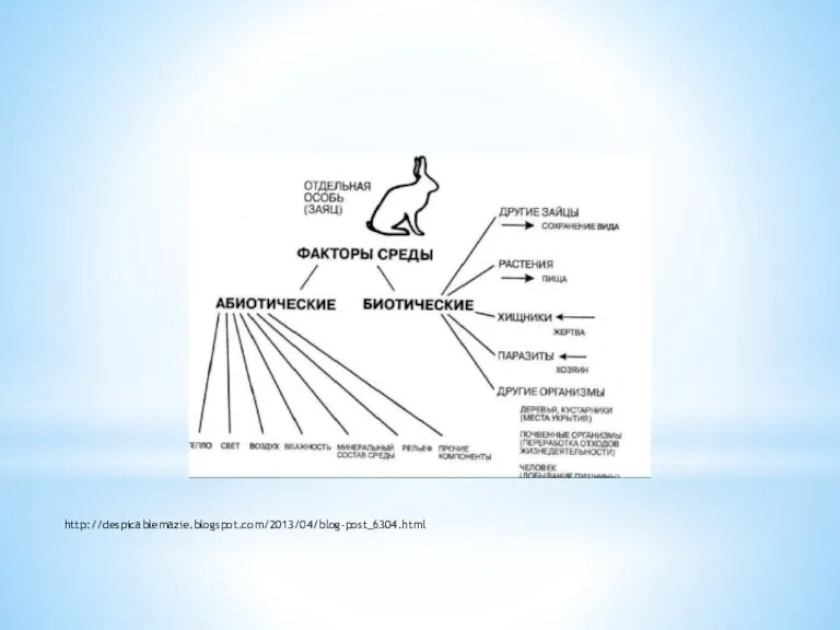 Экологический фактор. Диаграмма выживания. Основные законы экологии. Экологическая ниша. http://despicablemazie.blogspot.com/2013/04/blog-post_6304.html