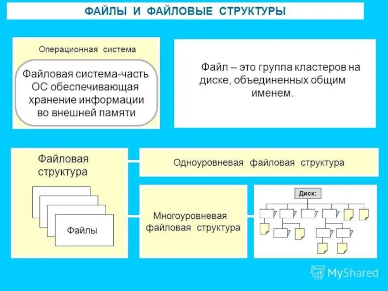 Понятие файла и его структура Файл- Специально организованная структура данных, распознаваемая компьютером как единое целое.