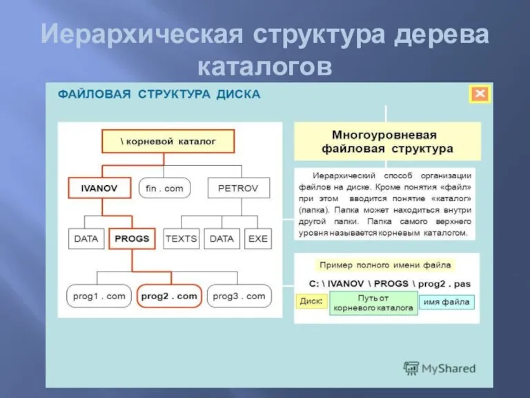 Иерархическая структура дерева каталогов